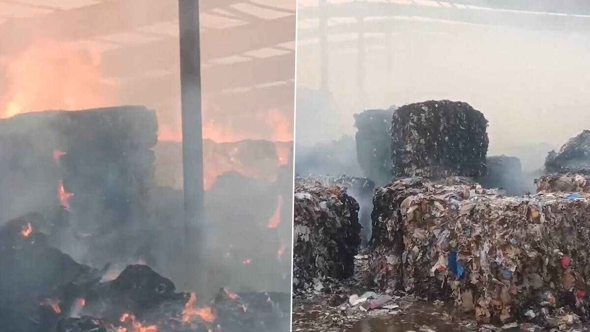 Rajkot Fire: রাজকোটের পেপার মিলে বিধ্বংসী অগ্নিকাণ্ড, পুড়ে ছাঁই কারখানা, দেখুন ভিডিয়ো