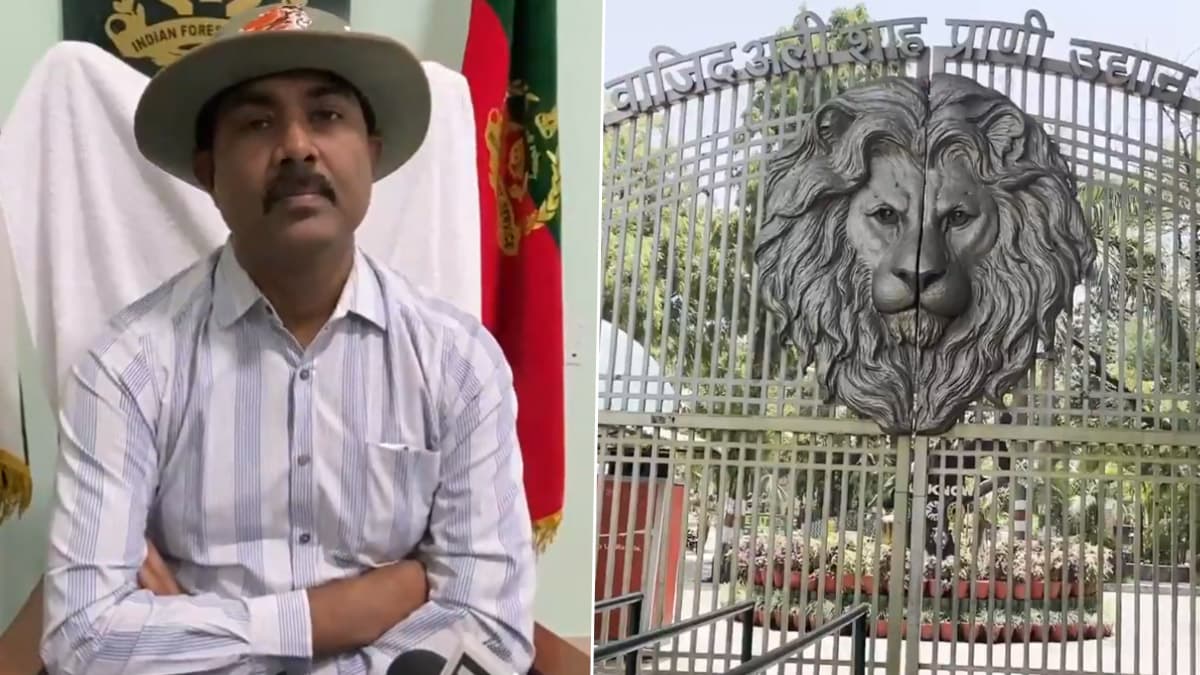 Etawah Lion Safari Park Temporarily Closed: এভিয়ান ইনফ্লুয়েঞ্জায় বাঘিনী 'শক্তি'র মৃত্যু, সাময়িক বন্ধ হল এটাওয়া লায়ন সাফারি পার্ক