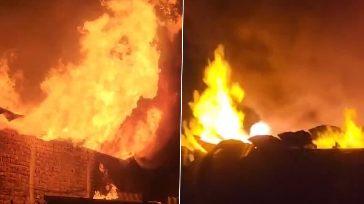 Delhi Fire: দিল্লিতে রাসায়নিক কারখানায় বিধ্বংসী আগুন, ঘটনাস্থলে দমকল বাহিনী, দেখুন ভিডিয়ো