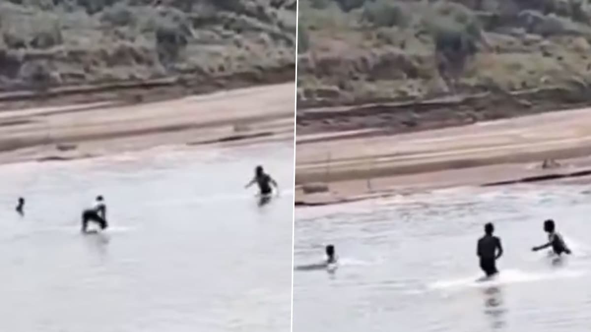 Crocodile Attack Caught on Camera: যুবককে মুখে করে টেনে নিয়ে যাচ্ছে মস্ত কুমির, আগ্রায় নদীতে স্নান করতে নেমে সাংঘাতিক কাণ্ড, দেখুন ভিডিও