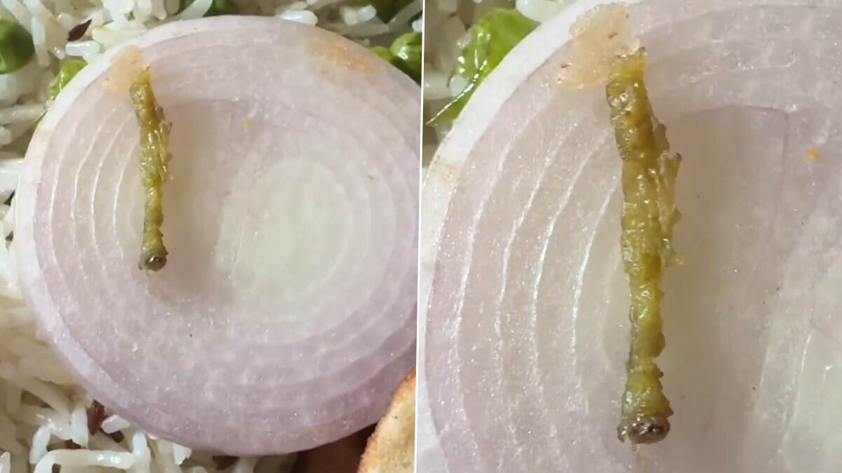 Caterpillar on Food Received by Swiggy: অনলাইনে অর্ডার করা খাবার খুলতেই চোখে পড়ল মড়া শুঁয়োপোকা, ক্ষুব্ধ গ্রাহক ক্ষোভ ঝাড়লেন সুইগির উপর