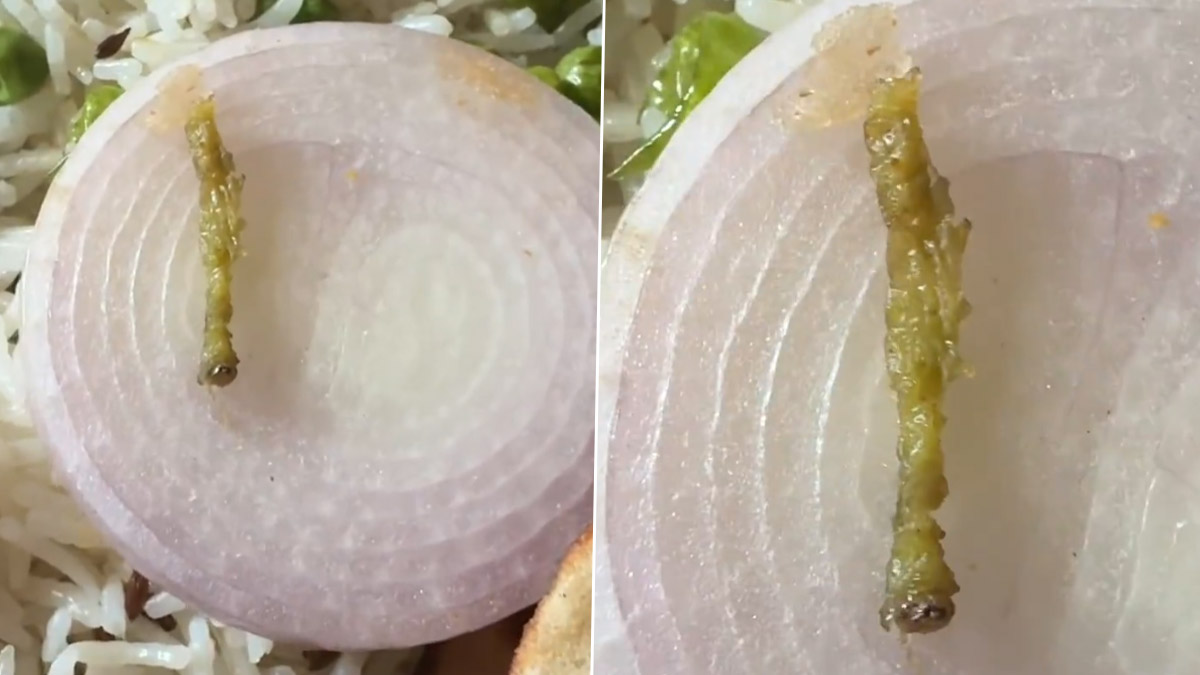 Caterpillar on Food Received by Swiggy: অনলাইনে অর্ডার করা খাবার খুলতেই চোখে পড়ল মড়া শুঁয়োপোকা, ক্ষুব্ধ গ্রাহক ক্ষোভ ঝাড়লেন সুইগির উপর
