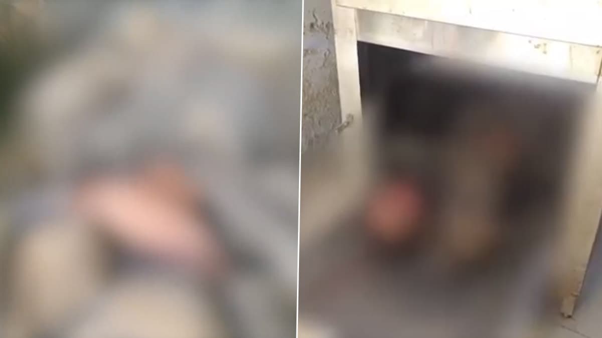 Punjab: সীমান্তে চোরাপথে ভারতে ঢুকতে গিয়ে বিএসএফের গুলিতে প্রাণ গেল পাকিস্তানি নাগরিকের, চলছে কড়া নজরদারি