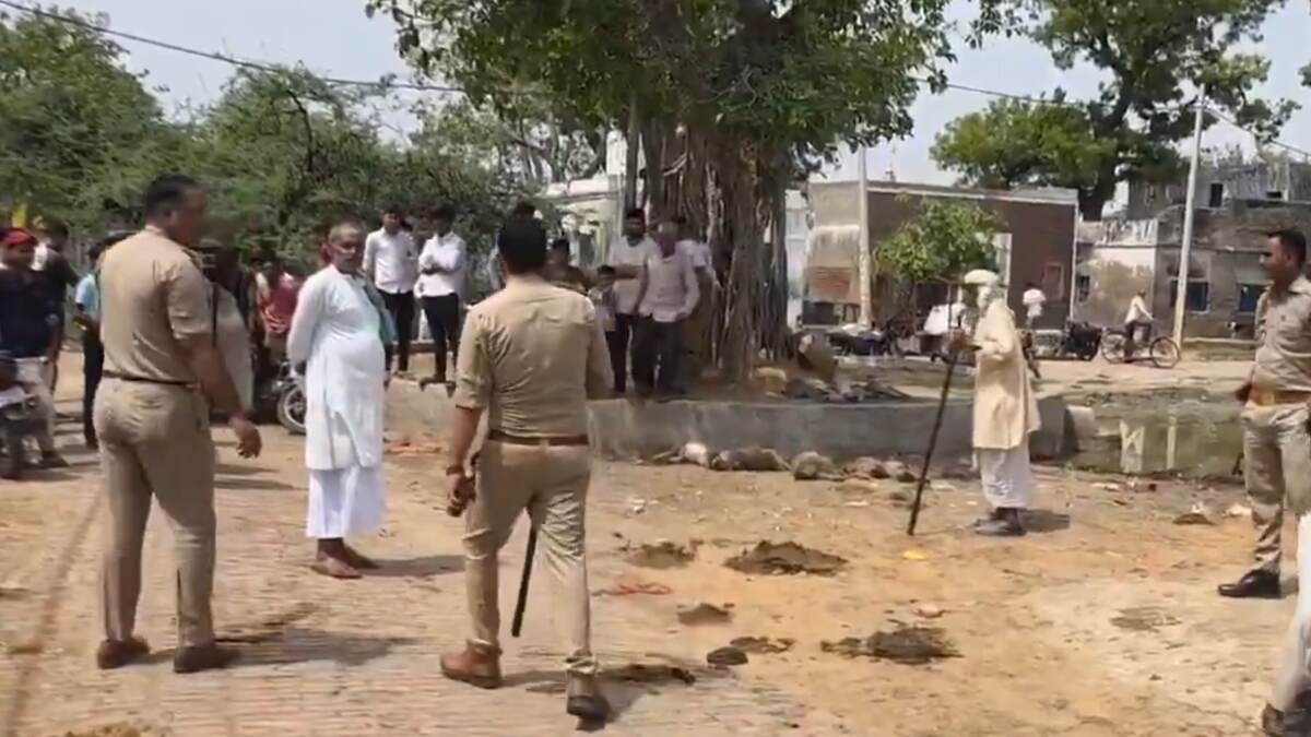 Monkeys Death in Mathura: মথুরায় ডজন খানেক বাঁদরের রহস্যজনক মৃত্যু, যত্রতত্র পড়ে দেহ, বিদেশি সাধুর যোগ