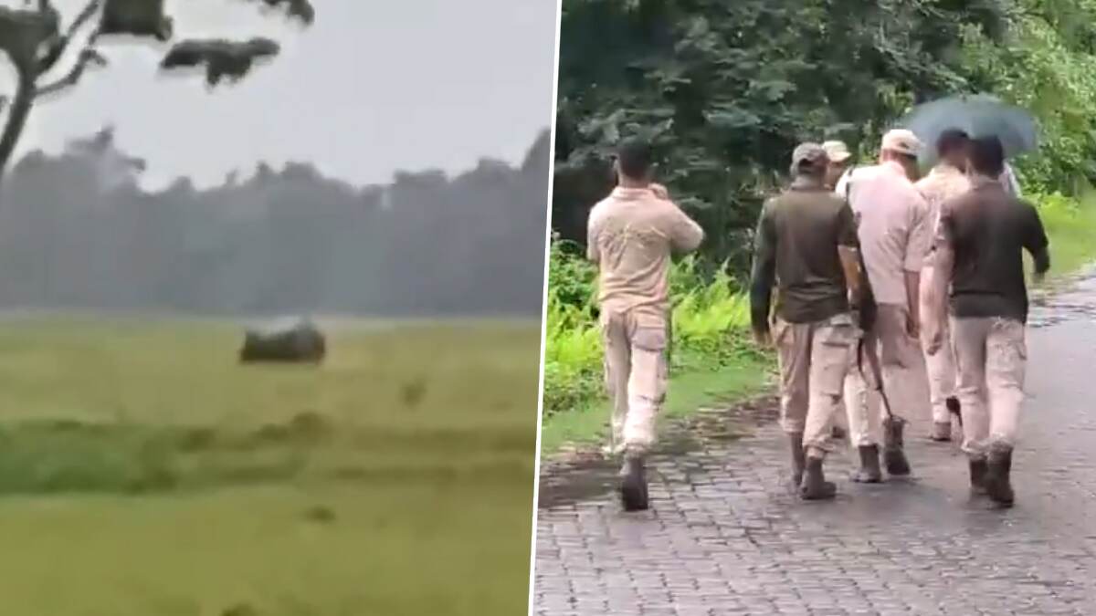Assam Rain: ভারী বৃষ্টির জেরে অসমে বন্যা পরিস্থিতি, বসতি এলাকায় গন্ডারের তাণ্ডবে তটস্থ এলাকাবাসী