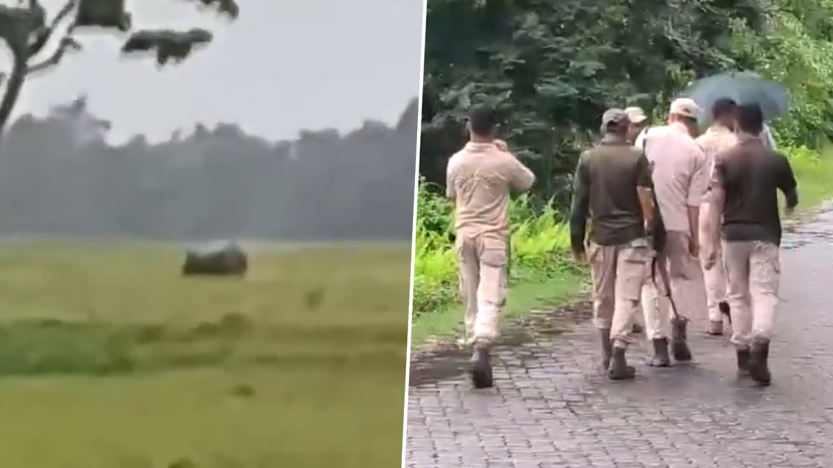 Assam Rain: ভারী বৃষ্টির জেরে অসমে বন্যা পরিস্থিতি, বসতি এলাকায় গন্ডারের তাণ্ডবে তটস্থ এলাকাবাসী
