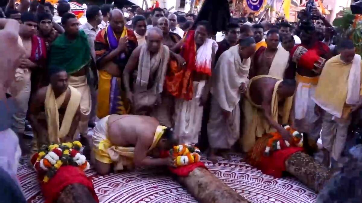 Lord Jagannath’s Rath Yatra: অক্ষয় তৃতীয়ার পুণ্য তিথিতে শুরু হল জগন্নাথ দেবের রথের নির্মাণ (দেখুন ভিডিও)