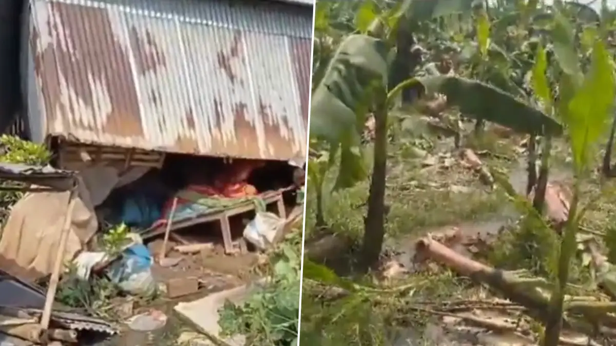 Storm Effect In North 24 Pargana: প্রবল ঝড়ে লন্ডভন্ড উত্তর ২৪ পরগনার গোপালনগর থানার বৈরামপুর গ্রাম পঞ্চায়েতের সনেকপুর এলাকা, প্রবল ক্ষয়ক্ষতির আশঙ্কা