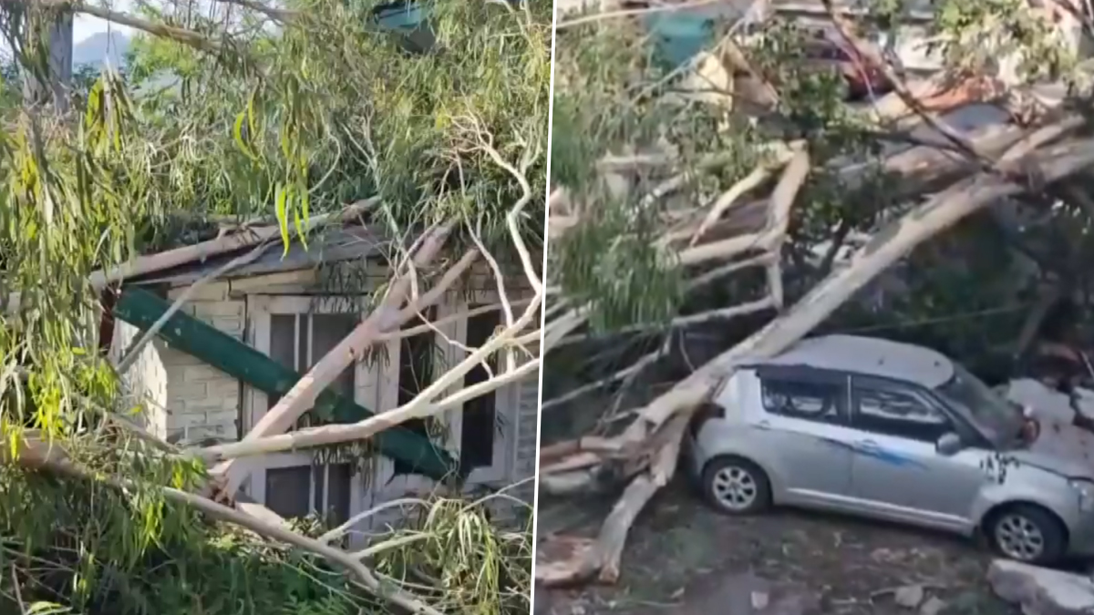 Jammu and Kashmir: জম্মু ও কাশ্মীরের রামবান জেলায় প্রবল ঝড়বৃষ্টির জেরে উপড়ে পড়ল একাধিক গাছ (দেখুন ভিডিও)