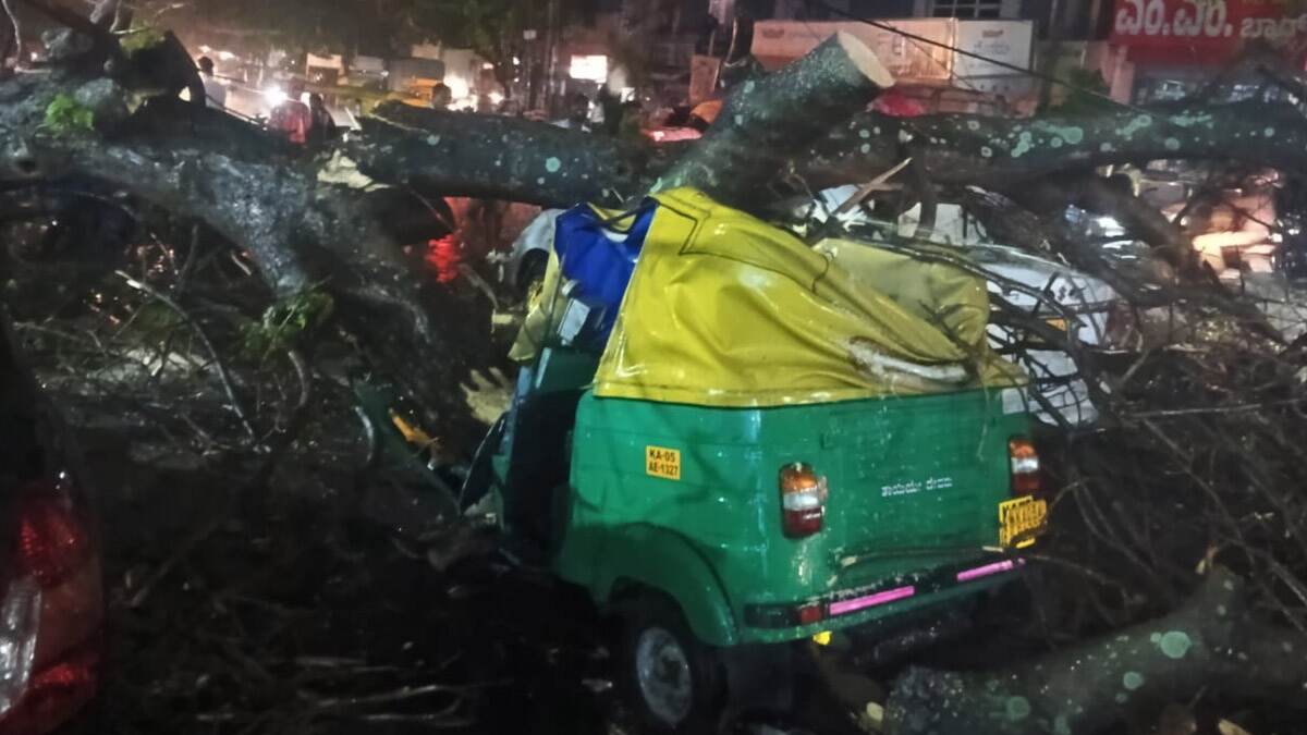 Bengaluru: বেঙ্গালুরুতে চলন্ত অটোতে গাছ পড়ে মর্মান্তিক দুর্ঘটনা, মৃত্যু হয়েছে অটোচালকের