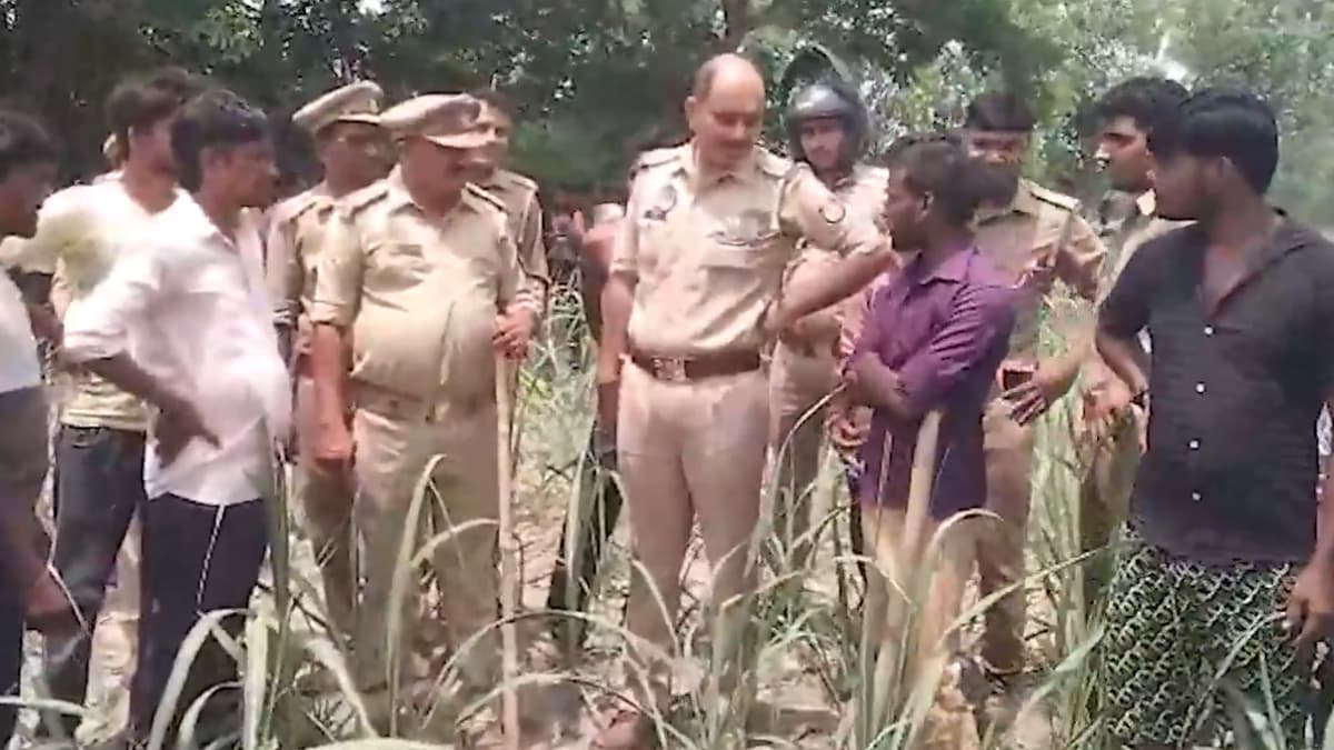Sitapur: সীতাপুরে বাঘের হামলা, আহত এক যুবক, এলাকায় তল্লাশি অভিযানে নেমেছে বন বিভাগের আধিকারিকরা