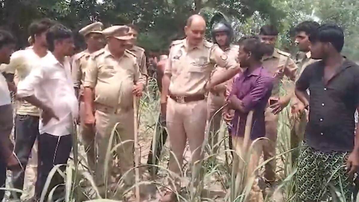 Sitapur: সীতাপুরে বাঘের হামলা, আহত এক যুবক, এলাকায় তল্লাশি অভিযানে নেমেছে বন বিভাগের আধিকারিকরা