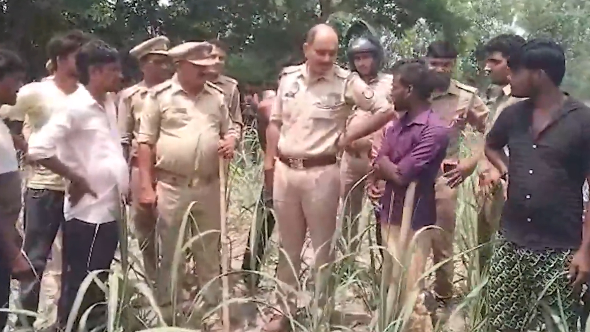 Sitapur: সীতাপুরে বাঘের হামলা, আহত এক যুবক, এলাকায় তল্লাশি অভিযানে নেমেছে বন বিভাগের আধিকারিকরা