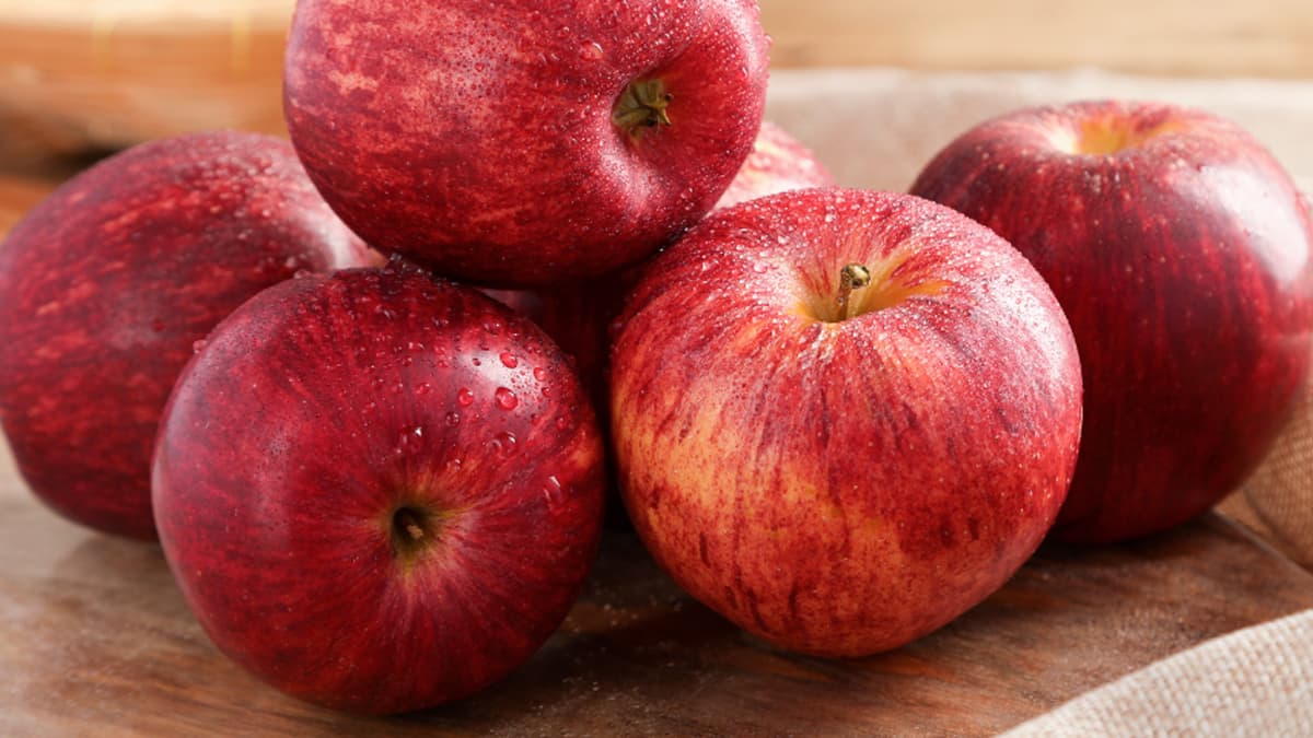 Right way to eat Apple: আপেল খাওয়ার পর ভুলেও এই খাবারগুলি খাবেন না। জেনে নিন বিস্তারিত