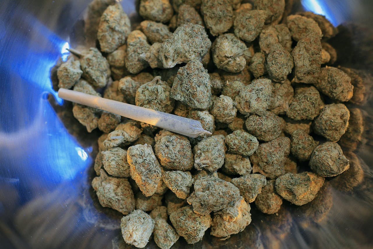 Ganja Seized: ভিওয়ান্ডিতে দোকান থেকে গাঁজা উদ্ধার, গ্রেফ্রতার ৩ জন