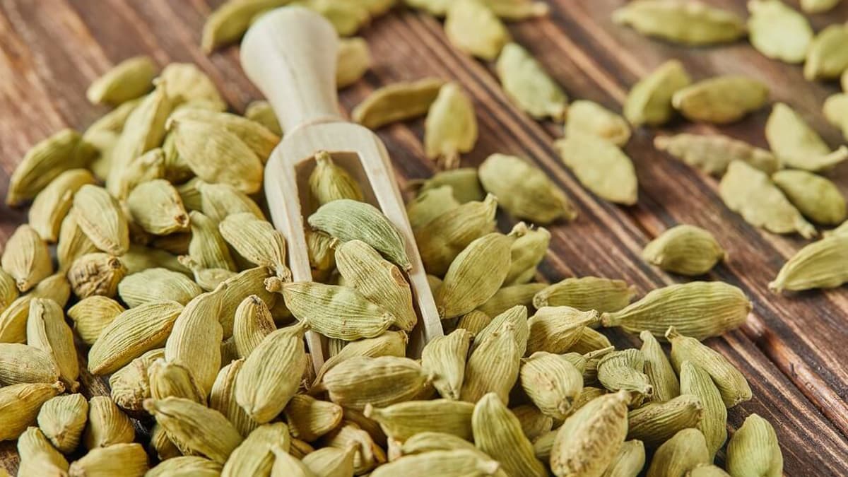 Cardamom benefits:  এলাচের গুণ অনেক। জেনে নিন এর উপকারিতা