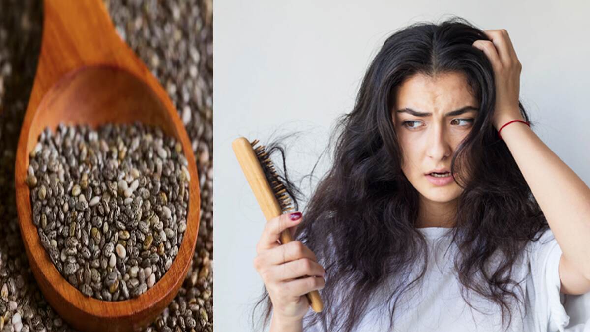 Chia seed for hair: অকালে চুল পড়ে যাচ্ছে? চিয়া সিডেই  মুশকিল আসান। জেনে নিন কিভাবে ব্যবহার করবেন