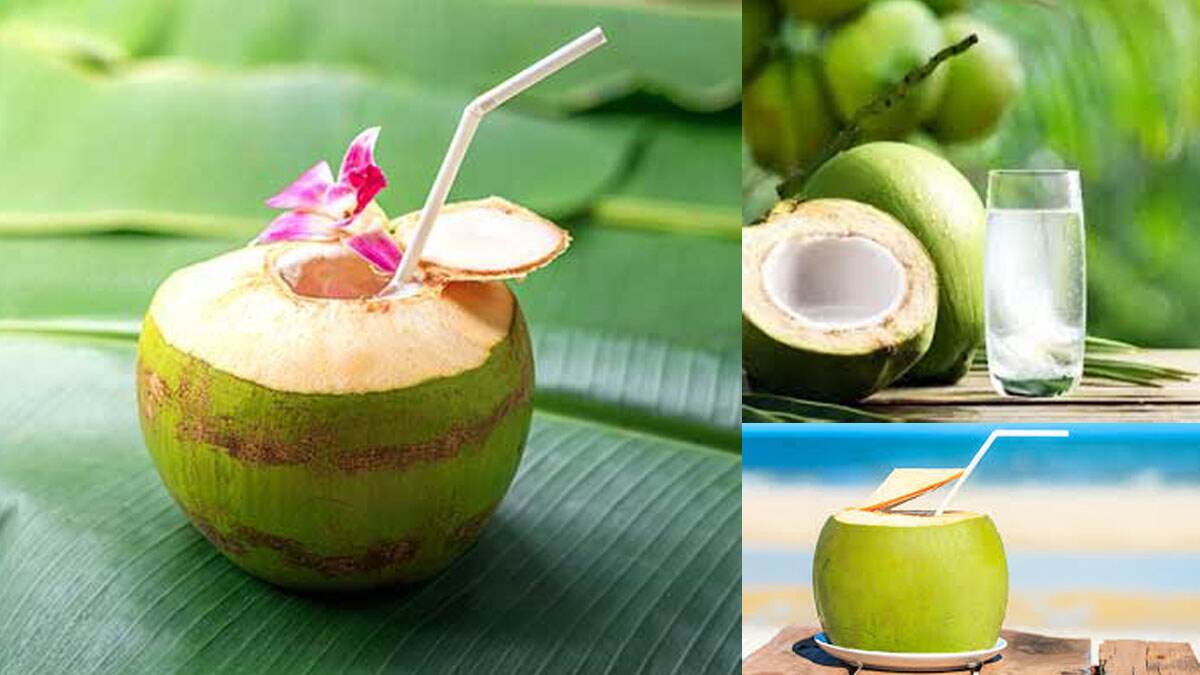 Coconut Water Benefits: ডাবের জলের অনেক উপকার। কারা খাবেন দেখে নিন