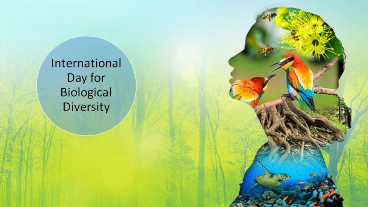 International Day for Biological Diversity: আন্তর্জাতিক জীববৈচিত্র্য দিবস-২০২৫। জেনে নিন এই দিনটির গুরুত্ব