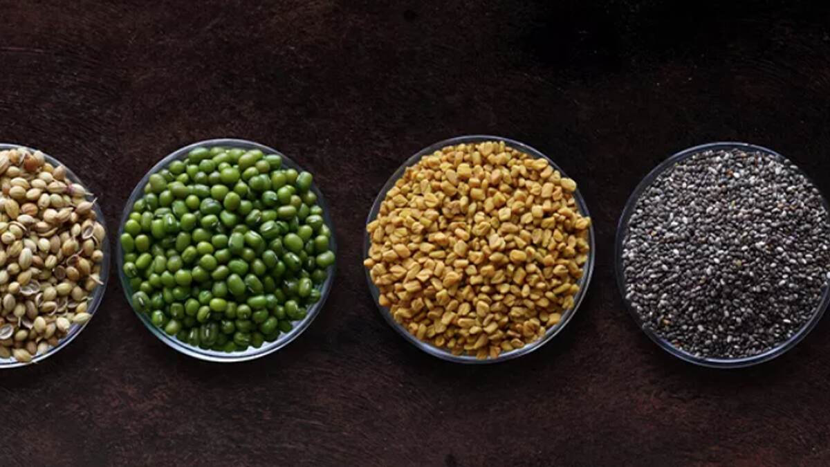 Protien Vegetarian Diet: মাছ, মাংস, ডিম বাদ দিন। খাদ্য তালিকায় রাখুন এই খাবারগুলি। প্রচুর প্রোটিন পাবেন এই খাবারে