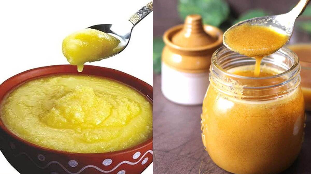 Ghee Purity Test: ঘিয়ে ভেজাল! বুঝবেন কিভাবে? জেনে নিন আসল নকল চেনার পদ্ধতি