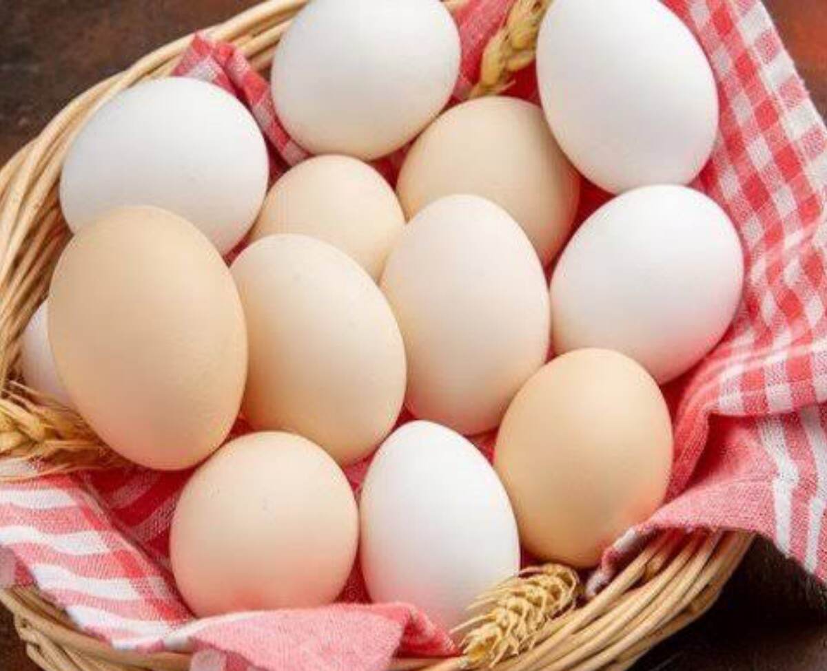 Egg Health Benefit: মুরগির ডিম নাকি হাঁসের ডিম। কোনটা খাওয়া ভালো। জেনে নিন বিস্তারিত