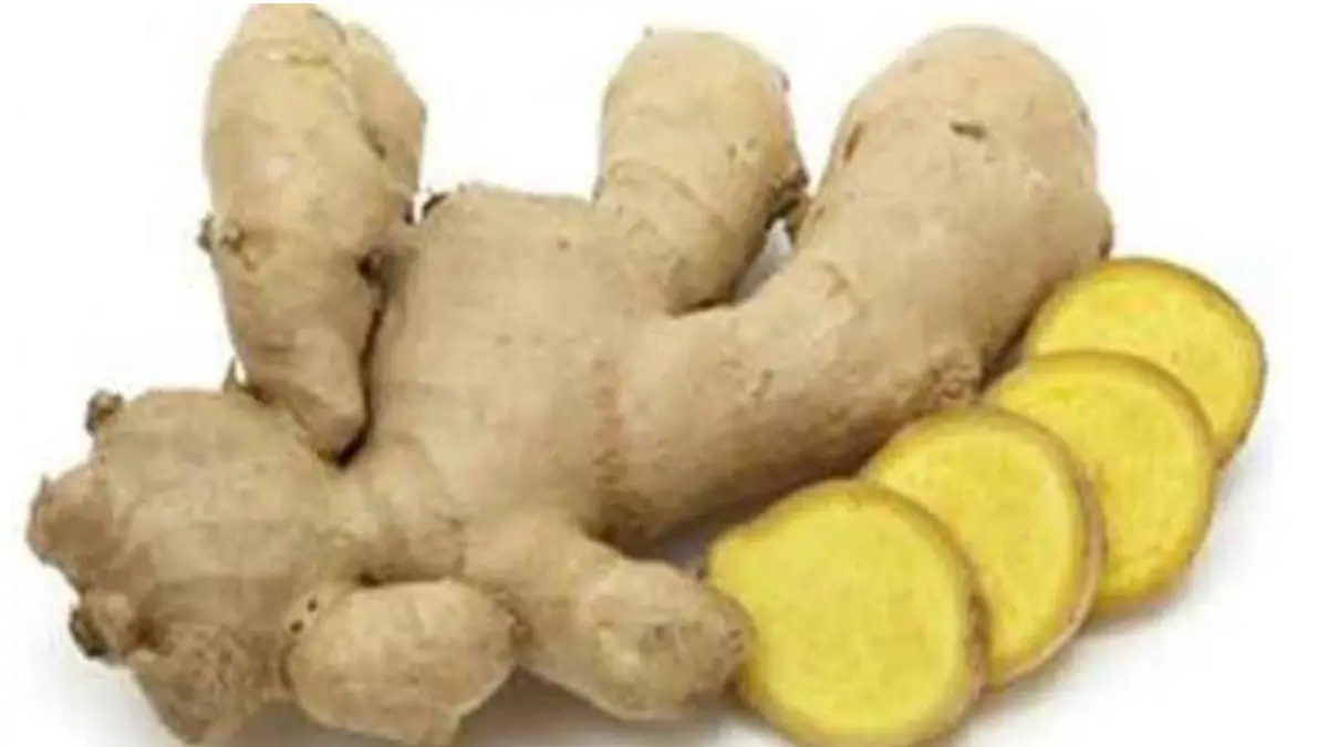 Ginger benefits: ওজন কমাতে দারুন কাজ দেয়। জেনে নিন আদার উপকারিতা