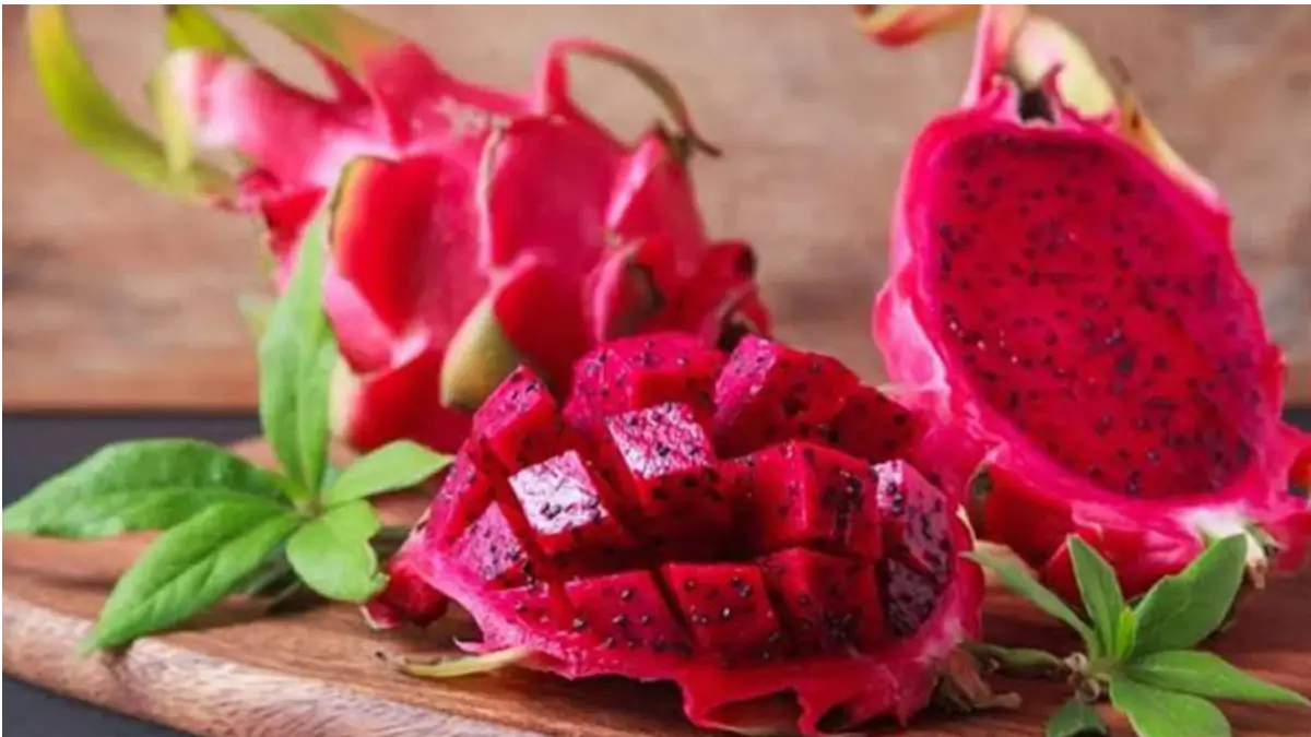 Benefits of Dragon Fruit: ক্যান্সার থেকে হৃদরোগ প্রতিরোধ। ড্রাগন ফলের উপকারিতা জানলে অবাক হবেন
