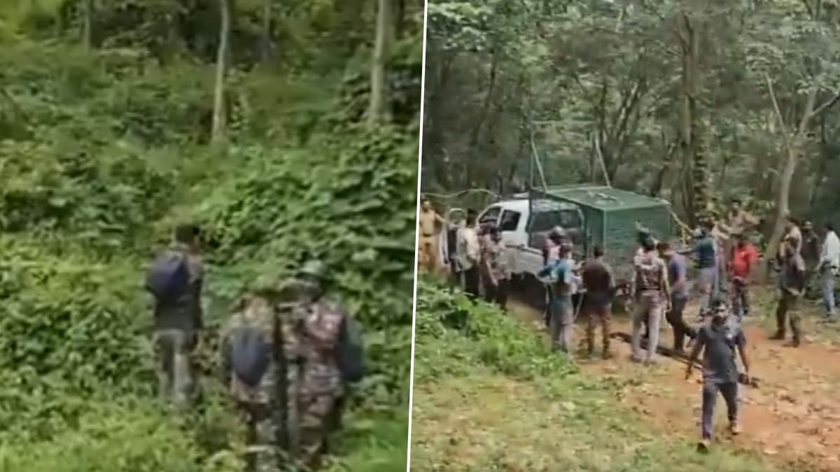 Searching Of Tiger: পাহাড় ডিঙিয়ে, জঙ্গল পেরিয়ে লোকালয়ে বাঘ, চরম সতর্কতার মাঝে কী হচ্ছে দেখুন