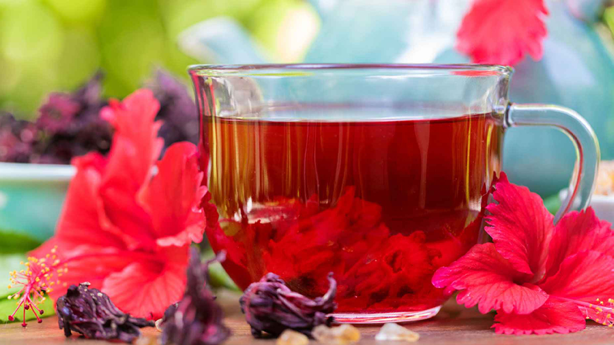 Hibiscus tea benefits: ওজন নিয়ন্ত্রণ থেকে  উচ্চ রক্তচাপের ঝুঁকি কমবে। পান করুন জবা ফুলের চা