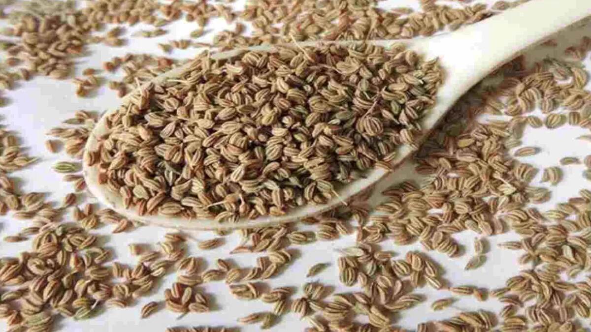 Ajwain Benefits: জোয়ানের জল খেলে দারুন উপকার পাবেন। জেনে নিন বিস্তারিত