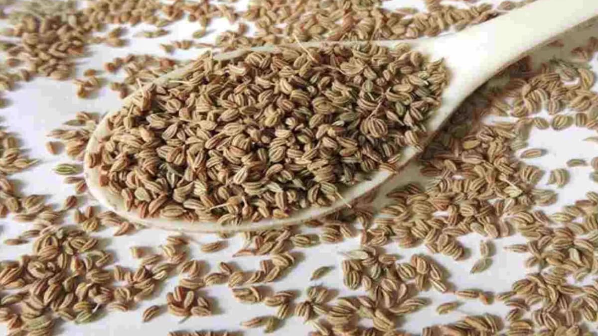 Ajwain Benefits: জোয়ানের জল খেলে দারুন উপকার পাবেন। জেনে নিন বিস্তারিত