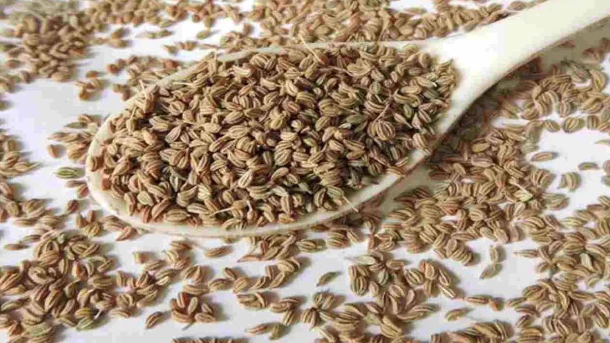 Ajwain Benefits: জোয়ানের জল খেলে দারুন উপকার পাবেন। জেনে নিন বিস্তারিত