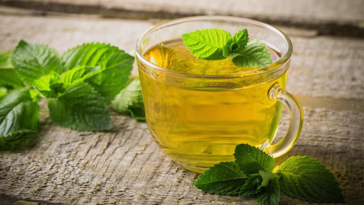 Mint tea benefits: প্রতিদিন নিয়ম করে খান পুদিনা চা। এর উপকার সাধারণ চায়ের থেকে অনেক বেশি। জেনে নিন বিস্তারিত