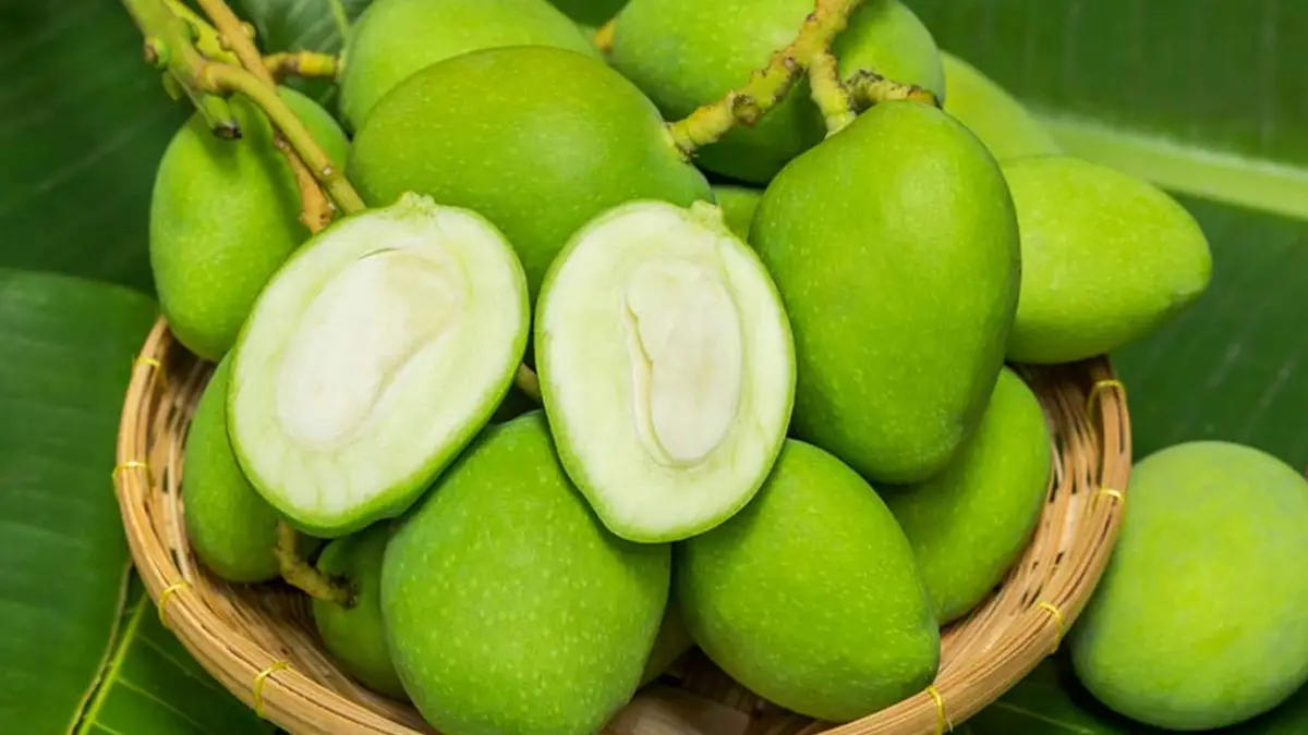 Preservation of raw mangoes: কাঁচা আম আনেক দিন ঠিক থাকবে। এই পদ্ধতি মেনে চলুন