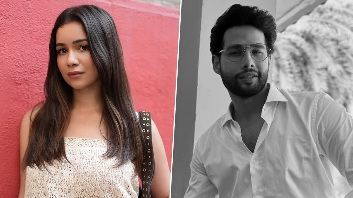 Siddhant Chaturvedi-Sara Tendulkar: শচিন-কন্যা সারার বিচ্ছেদ, শুভমনের পর সিদ্ধান্তের সঙ্গেও টিকল না সম্পর্ক?