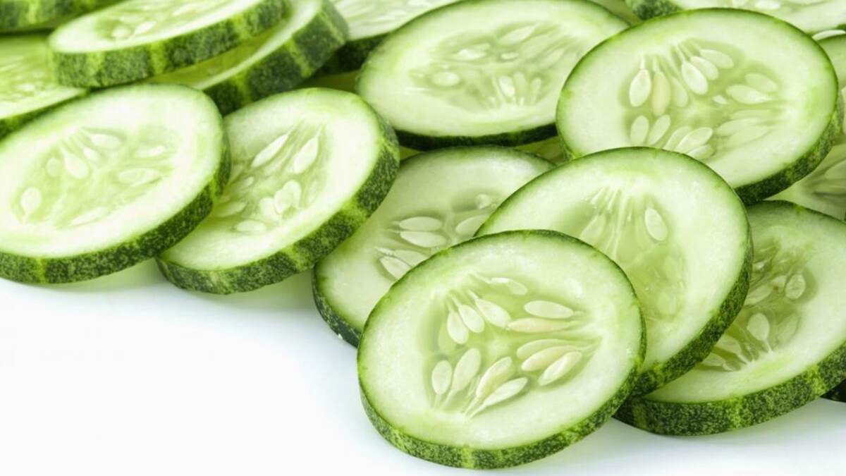 Cucumber- uses, side effects: গরমে শসার বিকল্প নেই। কিন্তু শসা খাওয়ার পর কয়েকটি খাবার খাওয়া ক্ষতিকারক। জেনে নিন বিস্তারিত