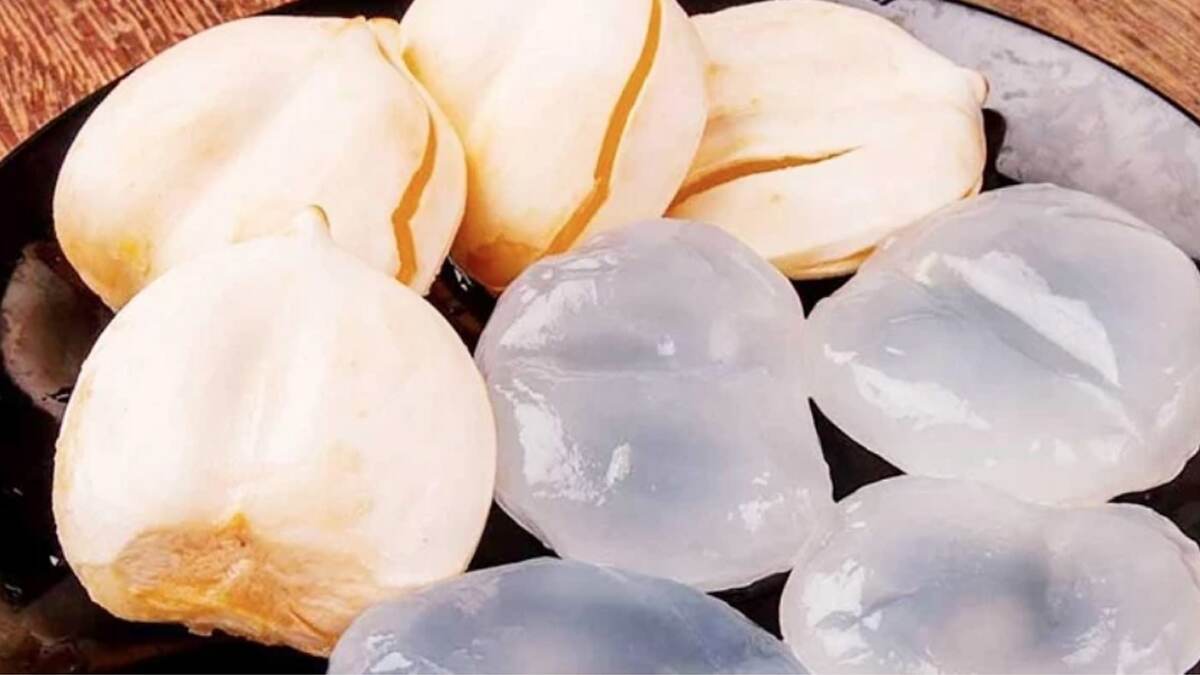 Health Benefits of Ice Apples: কারা তালশাঁস খেলে বেশি উপকার পাবেন? জেনে নিন বিস্তারিত