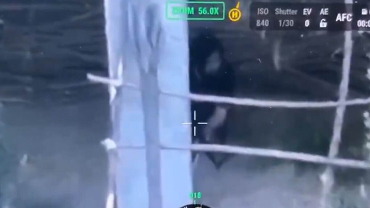 Operation Nader In Tral Video: গোপণ ডেরায় ঘাপটি দিয়ে জইশ জঙ্গিরা, ড্রোন ফুটেজ হাতে আসতেই 'অ্যাকশন' বাহিনীর, দেখুন ভিডিয়ো
