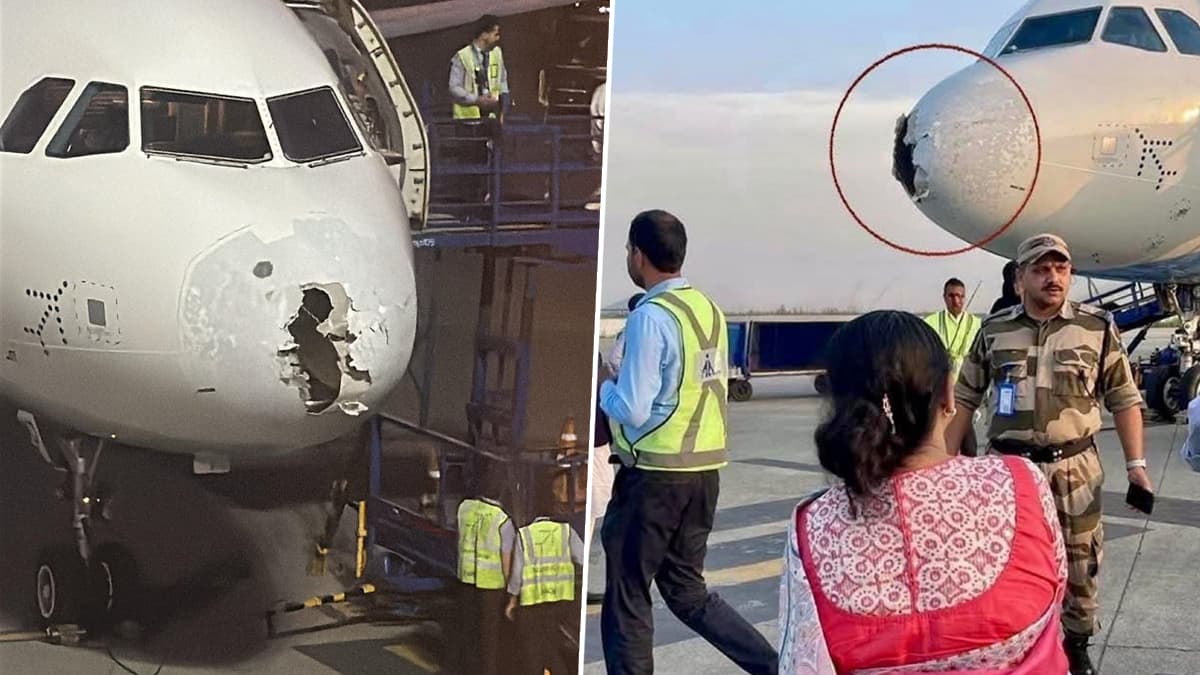 Indigo Flight: মাঝ আকাশে শিলাবৃষ্টি ও ধুলোঝড়ের কবলে বিমান, মৃত্যুমুখ থেকে ফিরল তৃণমূলের প্রতিনিধি দল