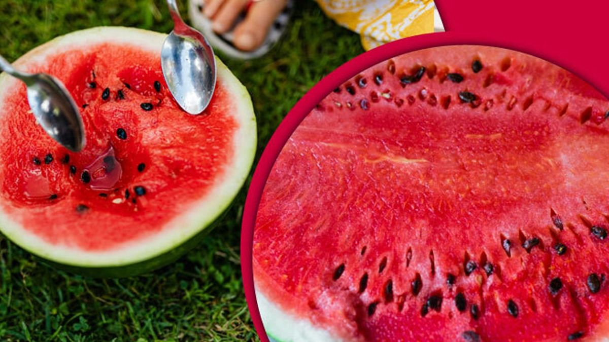 Benefits of watermelon seeds: তরমুজের বীজ খেয়ে ফেলেছেন? কোনো চিন্তা নেই ! এর উপকারিতা জানলে অবাক হবেন