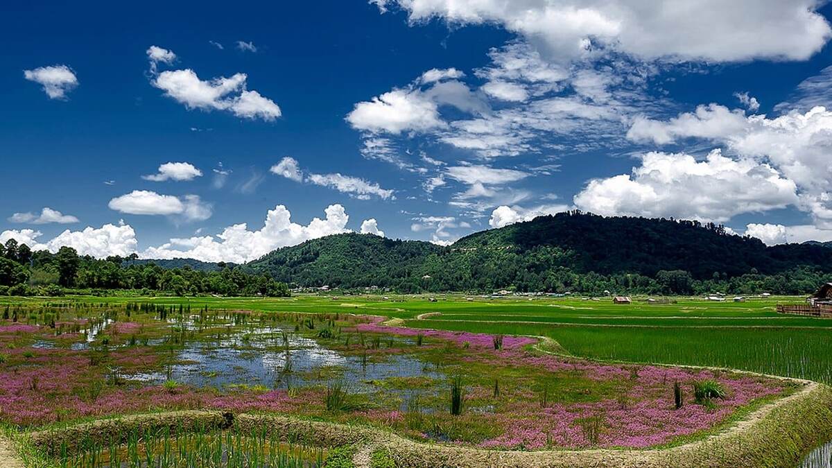 Visit Zero Valley: অপরূপ শোভা। টেনশন ফ্রি হয়ে ঘুরে আসুন প্রকৃতির কোলে