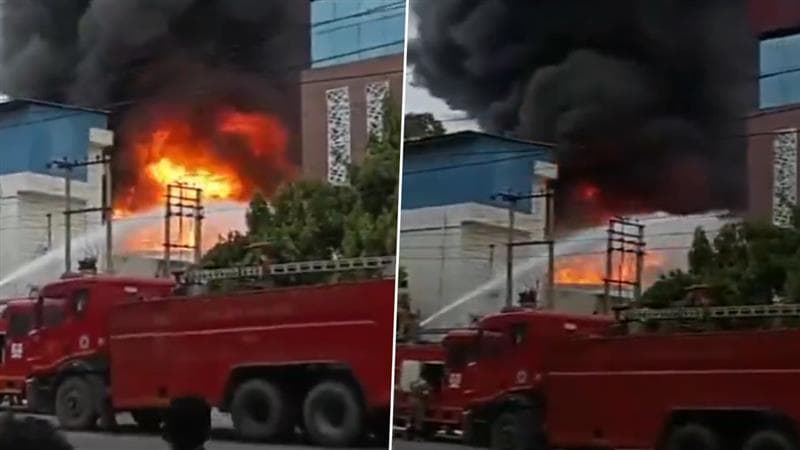 Uttar Pradesh Fire: নয়ডা সেক্টর ২-এর একটি বেসরকারি প্রতিষ্ঠানে আগুন, ঘটনাস্থলে দমকলের গাড়ি (দেখুন ভিডিও)