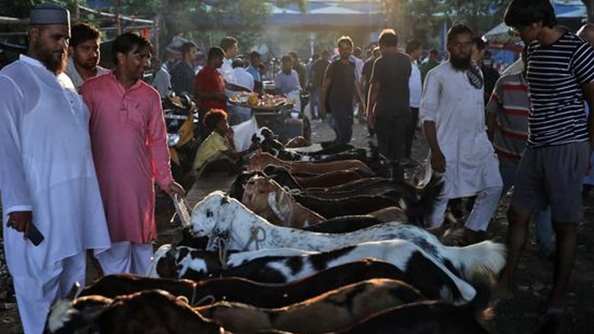 Eid-Al-Adha Guidelines: বকরি ইদে গরু, বাছুর, উট কুরবানি নিষিদ্ধ, অন্ধ্রে আইন লঙ্ঘনকারীদের বিরুদ্ধে পদক্ষেপের হুঁশিয়ারি