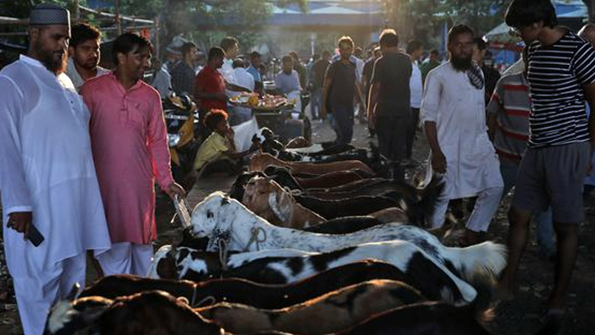 Eid-Al-Adha Guidelines: বকরি ইদে গরু, বাছুর, উট কুরবানি নিষিদ্ধ, অন্ধ্রে আইন লঙ্ঘনকারীদের বিরুদ্ধে পদক্ষেপের হুঁশিয়ারি