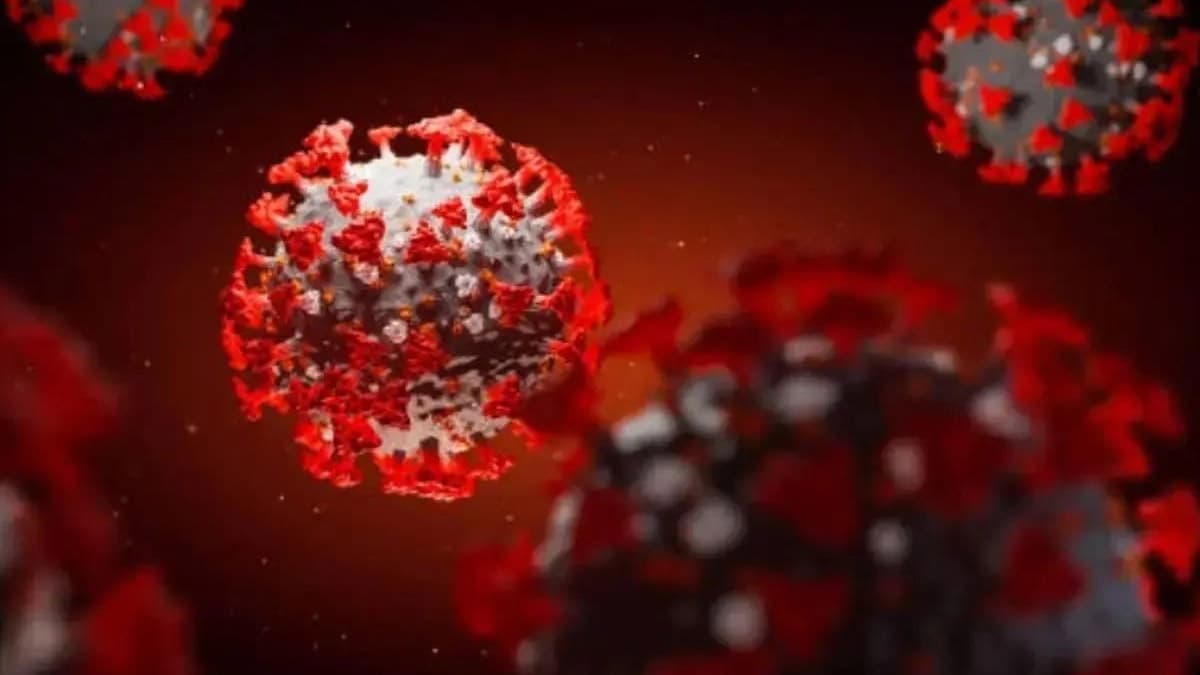 Covid 19 XFG Variant: ভয় ধরাচ্ছে কোভিডের নয়া ভ্যারিয়েন্ট XFG, যা শক্তিশালী রোগ প্রতিরোধ ক্ষমতা এড়িয়ে গিয়ে সংক্রমণ ছড়াতে সক্ষম