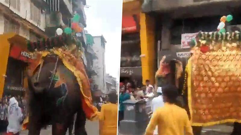 Jagannath Rath Yatra: জগন্নাথ রথযাত্রায় নিয়ন্ত্রণ হারিয়ে ফেলল তিনটি হাতি, দেখুন ভিডিও