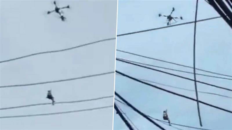 Drone Rescues Man: চিনে বন্যার জলে আটকে পড়া ব্যক্তিকে উদ্ধার করল ড্রোন, দেখুন ভাইরাল ভিডিও