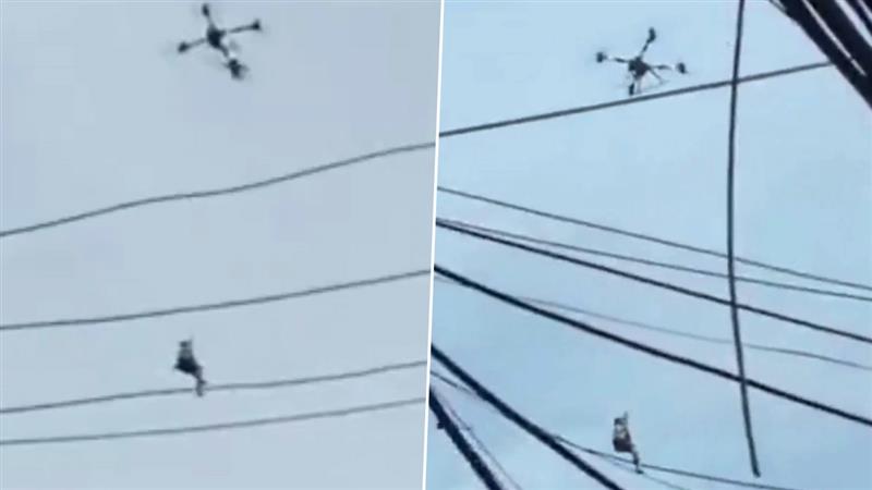 Drone Rescues Man: চিনে বন্যার জলে আটকে পড়া ব্যক্তিকে উদ্ধার করল ড্রোন, দেখুন ভাইরাল ভিডিও
