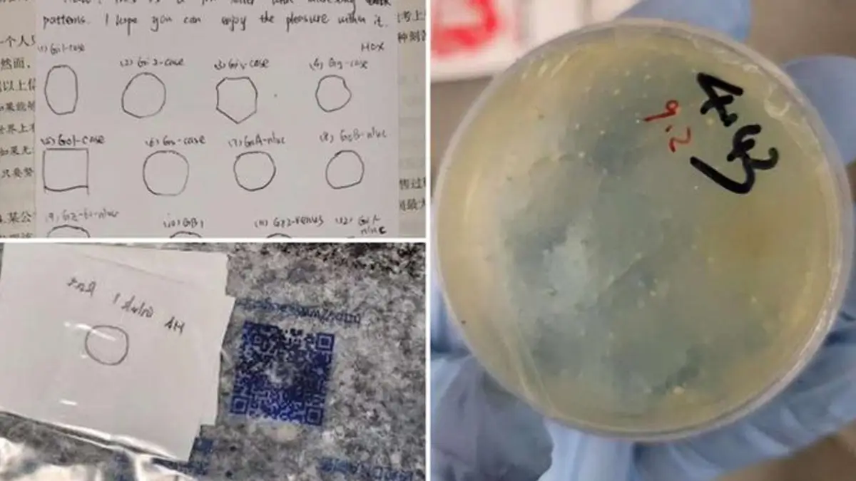 Chinese Scientist Arrested: বিপজ্জনক পদার্থ পাচারের অভিযোগে আরও এক চিনা বিজ্ঞানীকে গ্রেফতার করেছে যুক্তরাষ্ট্র